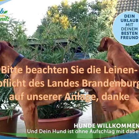 Familien-suite-im-wald-am-see Apartment